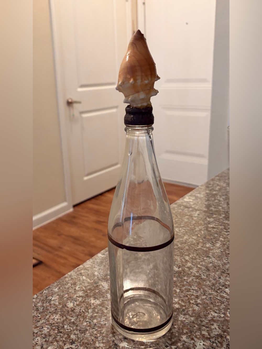 Vintage Clear Glass Bottle with Brown Shell Stopper